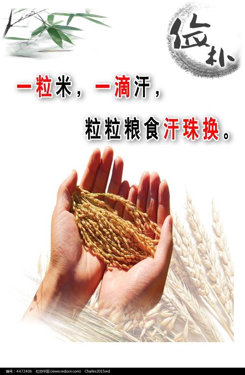单身证明制作